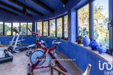 Talo myytävänä Lepe, Huelva, Espanja, 8 makuuhuonetta, 45610 m2 No. 153748 - kuva 19