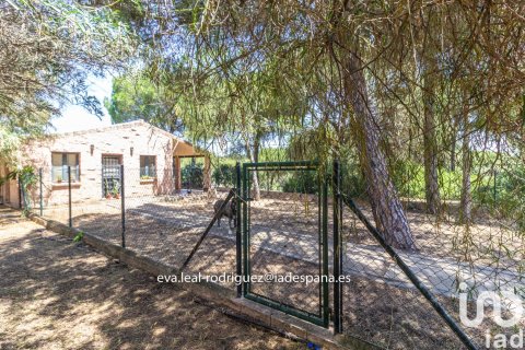 Talo myytävänä Lepe, Huelva, Espanja, 8 makuuhuonetta, 45610 m2 No. 153748 - kuva 24