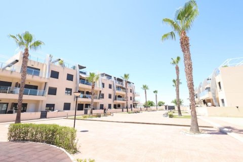 Apartament w Pilar de la Horadada, Alicante, Hiszpania 2 sypialnie, 67 mkw. nr 190189 – zdjęcie 26