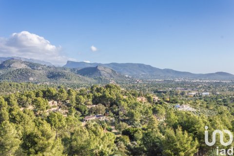 Dom w Esporles, Mallorca, Hiszpania 3 sypialnie, 261 mkw. nr 154111 – zdjęcie 22