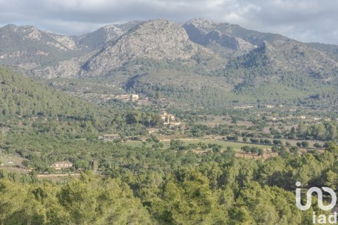 Dom w Esporles, Mallorca, Hiszpania 3 sypialnie, 261 mkw. nr 154111 – zdjęcie 21