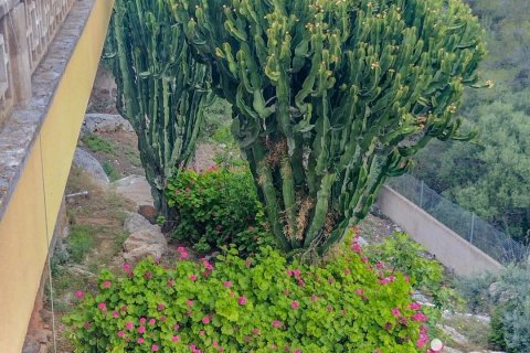 Dom w Esporles, Mallorca, Hiszpania 3 sypialnie, 261 mkw. nr 154111 – zdjęcie 18