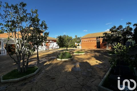 Продажа дома в Лепе, Уэльва, Испания 4 спальни, 1365м2 №154110 - фото 10