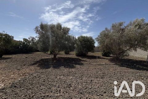 Parcela en venta en Chiclana de la Frontera, Cádiz, España 1004 m2 No. 195815 - foto 2
