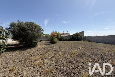 Parcela en venta en Chiclana de la Frontera, Cádiz, España 1004 m2 No. 195815 - foto 6