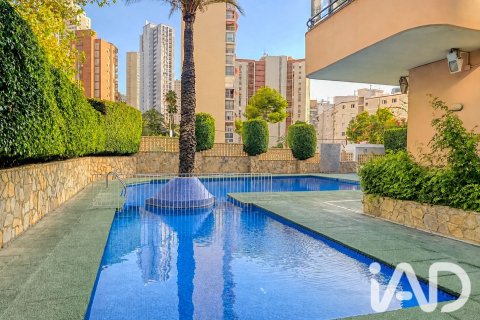 Apartment for sale in Benidorm, Alicante, Spain 1 bedroom, 53 sq.m. No. 195818 - photo 25