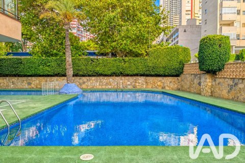 Apartment in Benidorm, Alicante, Spain 1 bedroom, 53 sq.m. No. 195818