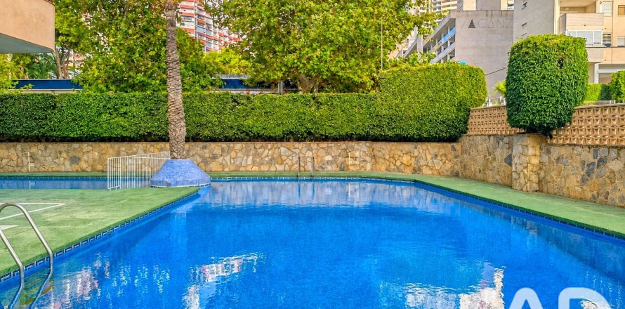 Apartment in Benidorm, Alicante, Spain 1 bedroom, 53 sq.m. No. 195818