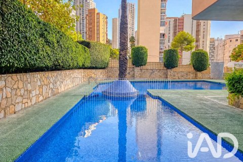 Apartment for sale in Benidorm, Alicante, Spain 1 bedroom, 53 sq.m. No. 195818 - photo 2