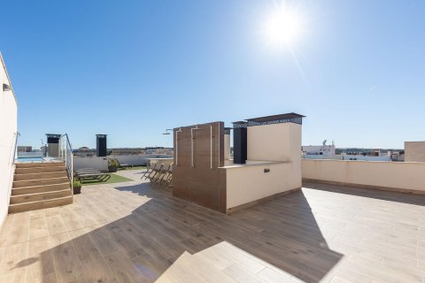 Wohnung zum Verkauf in Formentera del Segura, Alicante, Spanien 2 Schlafzimmer,  Nr. 160951 - Foto 30