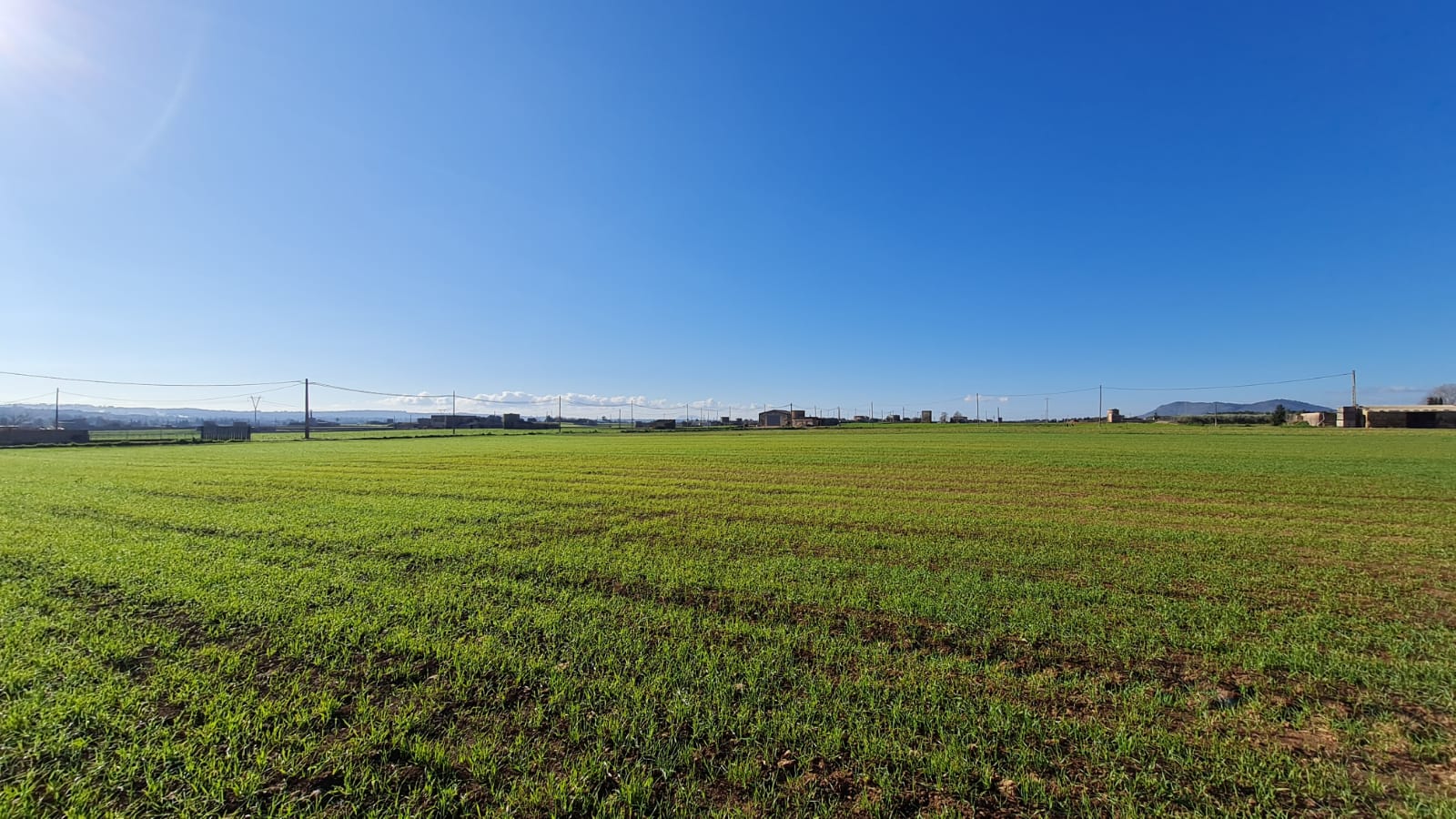 Tomt i Sa Pobla, Mallorca, Spanien 54000 kvm. Nr. 63351
