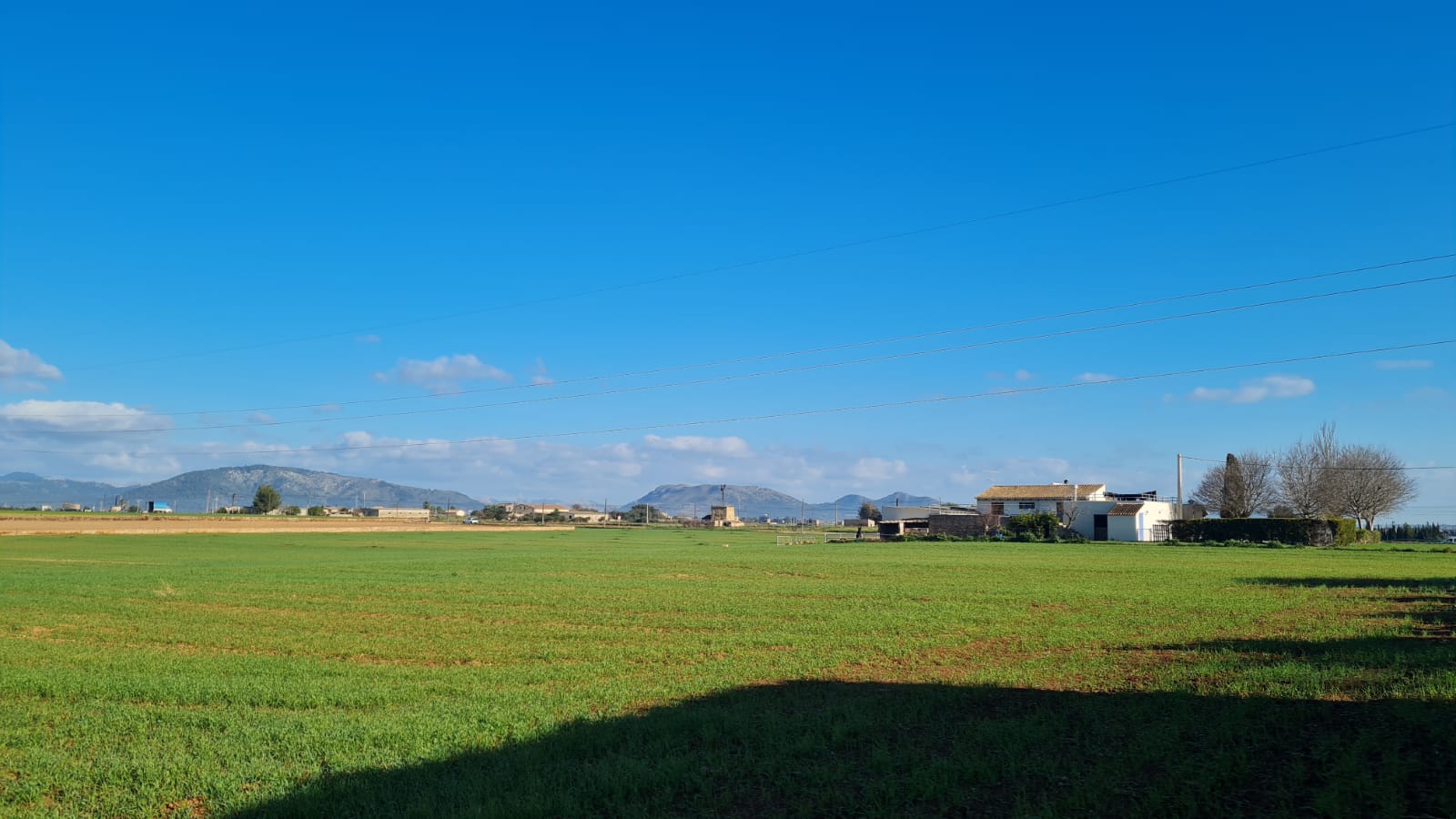 Tomt i Sa Pobla, Mallorca, Spanien 54000 kvm. Nr. 63351