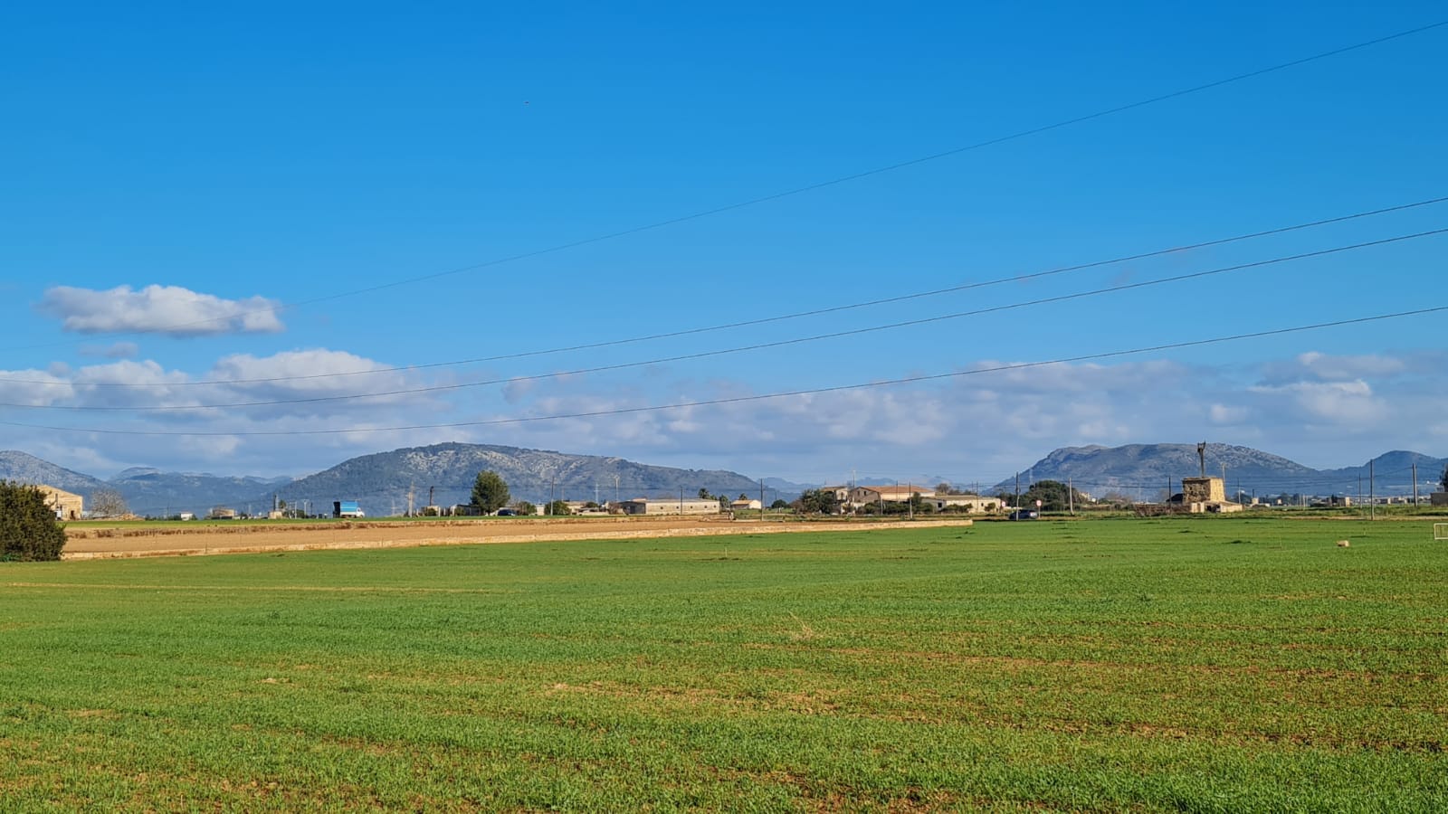 Tomt i Sa Pobla, Mallorca, Spanien 54000 kvm. Nr. 63351
