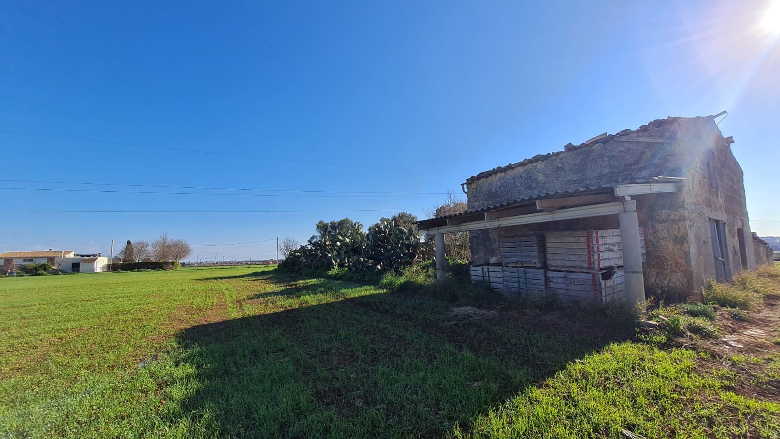 Tomt i Sa Pobla, Mallorca, Spanien 54000 kvm. Nr. 63351