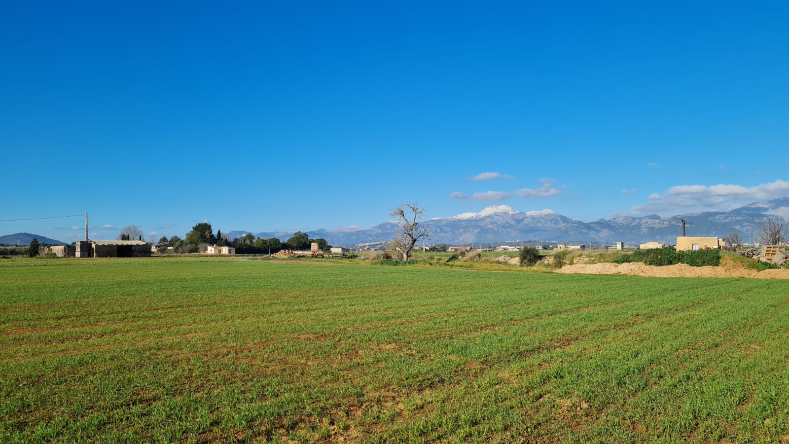 Tomt i Sa Pobla, Mallorca, Spanien 54000 kvm. Nr. 63351