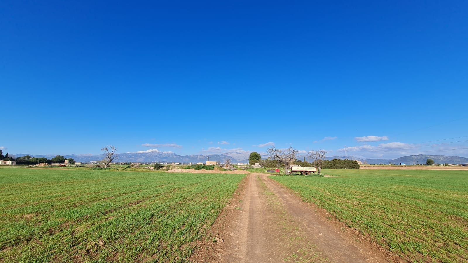 Tomt i Sa Pobla, Mallorca, Spanien 54000 kvm. Nr. 63351