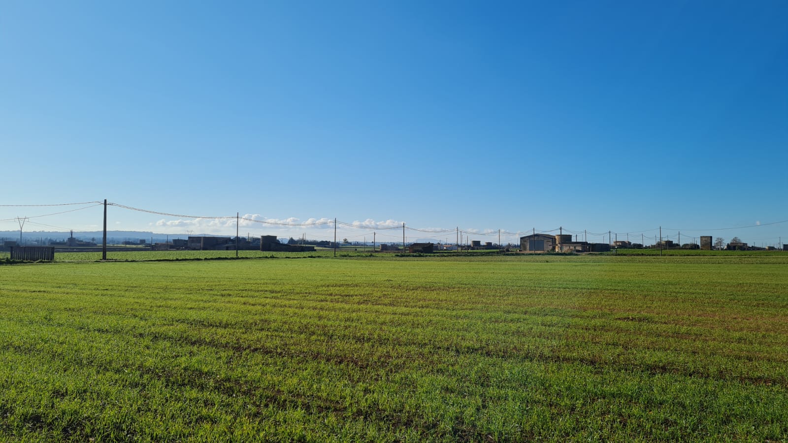 Tomt i Sa Pobla, Mallorca, Spanien 54000 kvm. Nr. 63351
