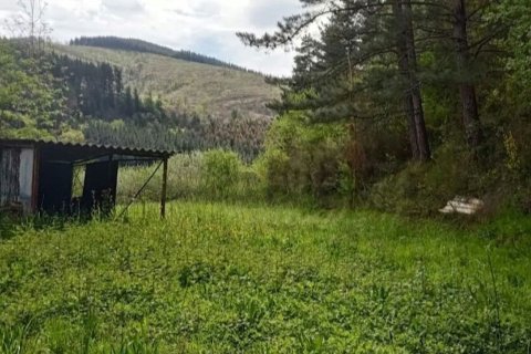 Działka w Amurrio, Alava, Hiszpania 24000 mkw. nr 173327 – zdjęcie 23