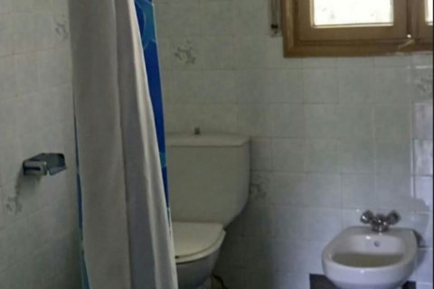 Działka w Amurrio, Alava, Hiszpania 24000 mkw. nr 173327 – zdjęcie 13