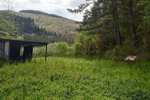 Działka w Amurrio, Alava, Hiszpania 24000 mkw. nr 173327 – zdjęcie 16
