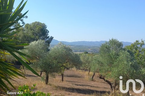 Talo myytävänä Ginestar, Tarragona, Espanja, 3 makuuhuonetta, 222 m2 No. 173328 - kuva 11