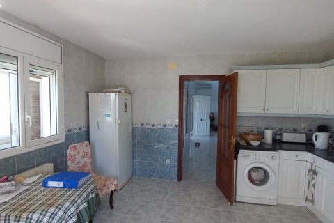 Talo myytävänä Ginestar, Tarragona, Espanja, 3 makuuhuonetta, 222 m2 No. 173328 - kuva 19