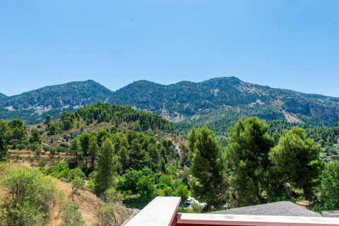 Commercial property for sale in Cocentaina, Alicante, Spain 20 bedrooms, 2200 sq.m. No. 149183 - photo 5