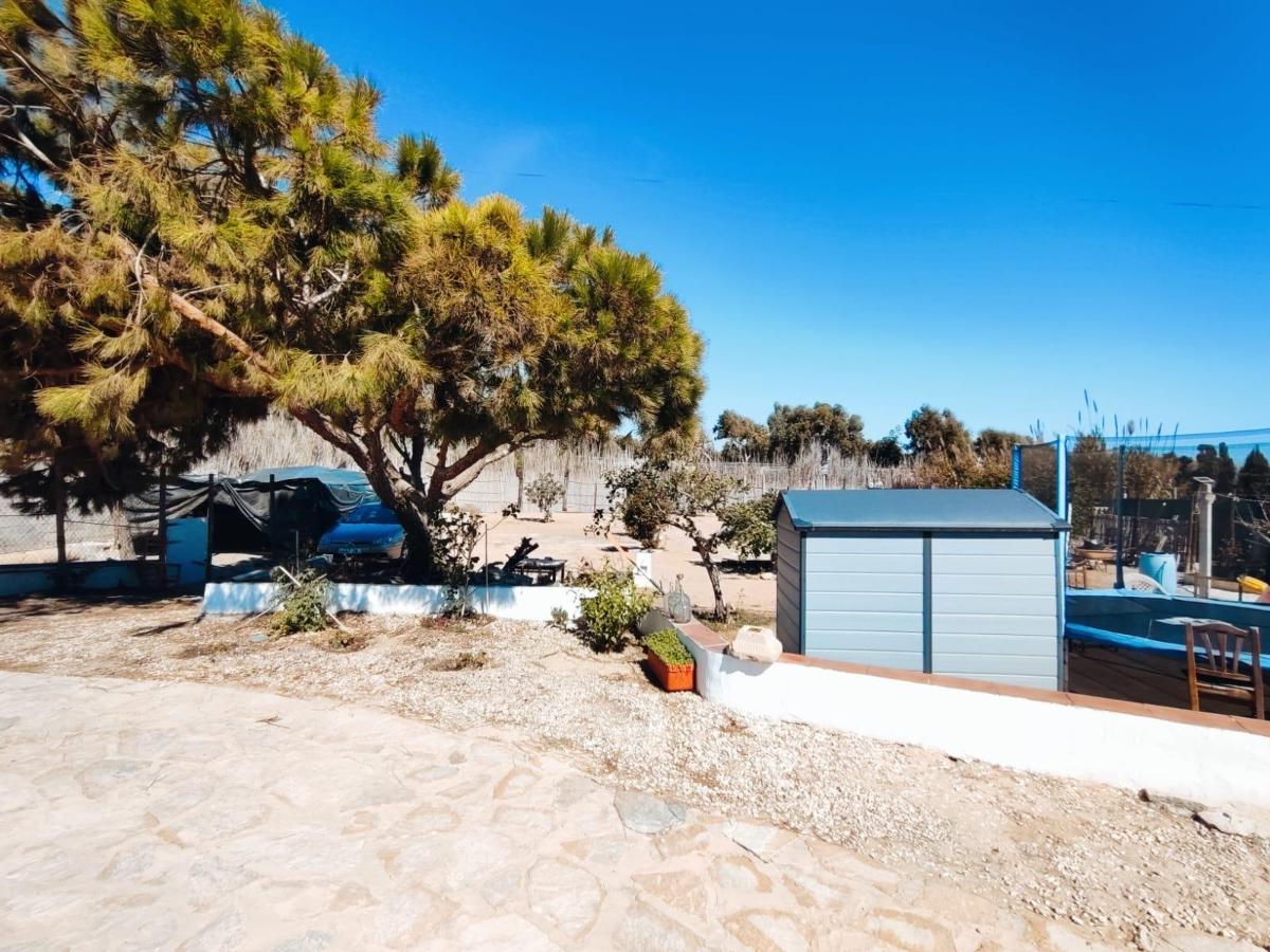 House in Guardamar del Segura, Alicante, Spain 5 bedrooms, 184 sq.m. No. 149182