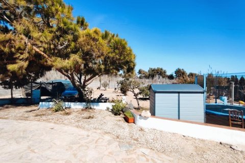 Dom w Guardamar del Segura, Alicante, Hiszpania 5 sypialni, 184 mkw. nr 149182 – zdjęcie 8