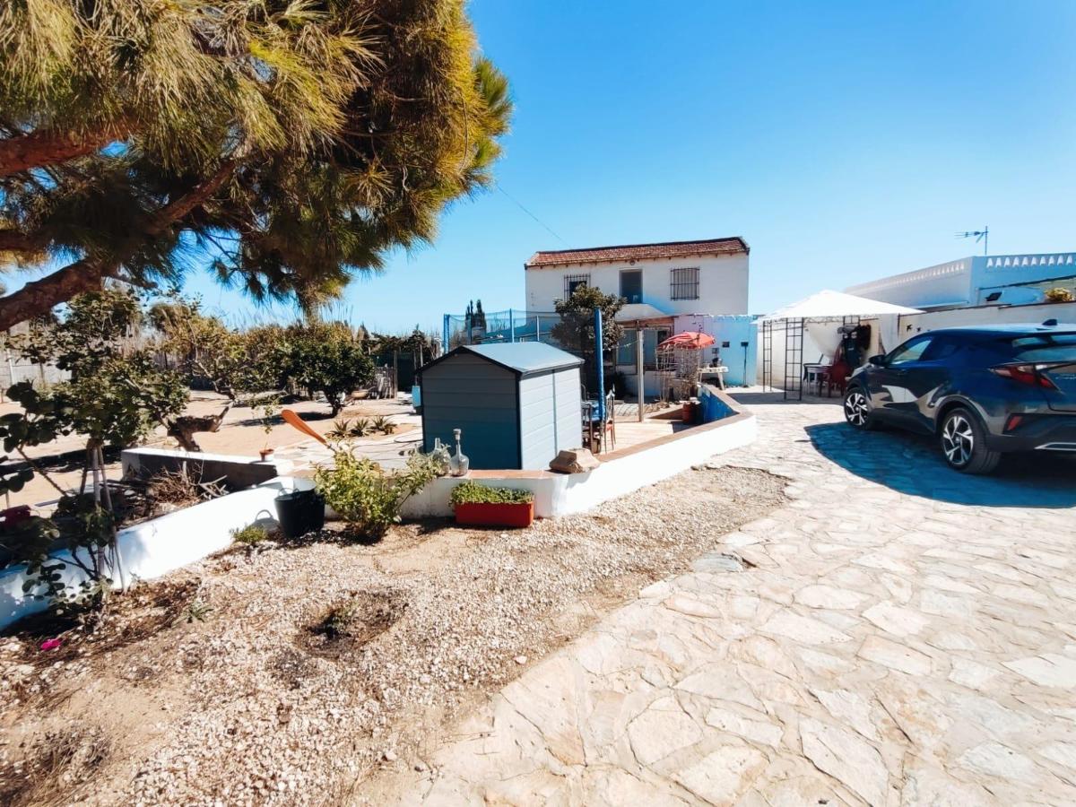 House in Guardamar del Segura, Alicante, Spain 5 bedrooms, 184 sq.m. No. 149182