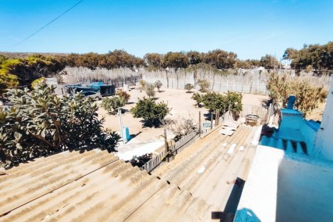 Dom w Guardamar del Segura, Alicante, Hiszpania 5 sypialni, 184 mkw. nr 149182 – zdjęcie 6