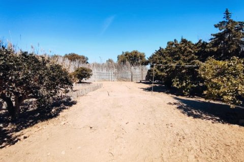 Dom w Guardamar del Segura, Alicante, Hiszpania 5 sypialni, 184 mkw. nr 149182 – zdjęcie 7