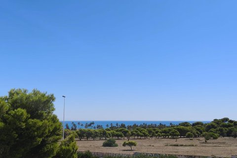 Triplex for sale Torrevieja, Alicante, Spain 2 bedrooms, 95 sq.m. No. 133021 - photo 25