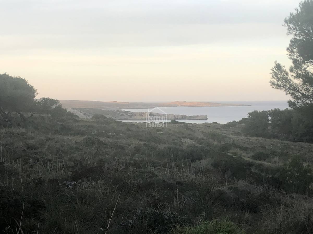 Terreno a Es Mercadal, Menorca, Spagna N° 65493