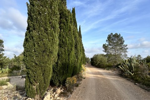 Terreno a Tortosa, Tarragona, Spagna 14967 mq. N° 184803