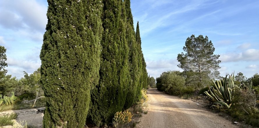 Parcela en Tortosa, Tarragona, España 14967 m2 No. 184803