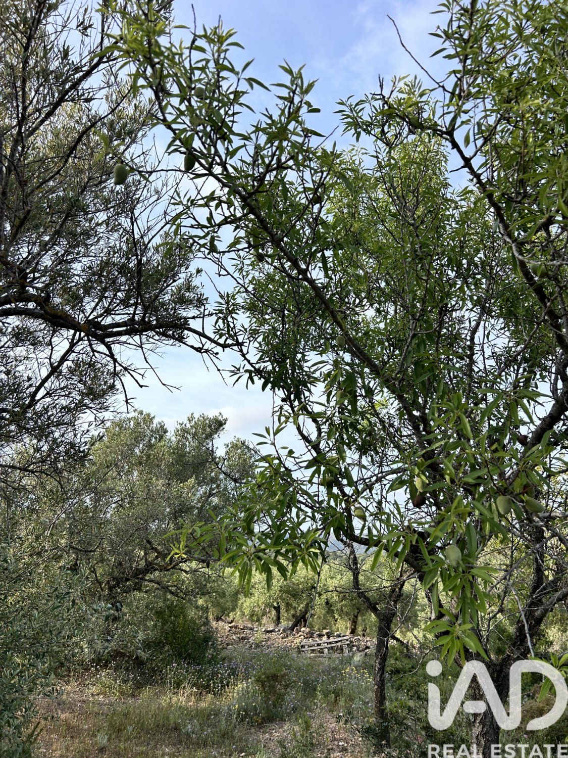 Land in Tortosa, Tarragona, Spanien 14967 m2 Nr. 184803