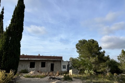 Parcela en venta en Tortosa, Tarragona, España 14967 m2 No. 184803 - foto 2
