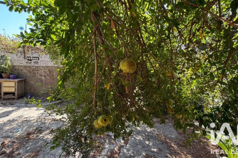 Продажа дома в Тарифа, Кадис, Испания 3 спальни, 97м2 №195047 - фото 23