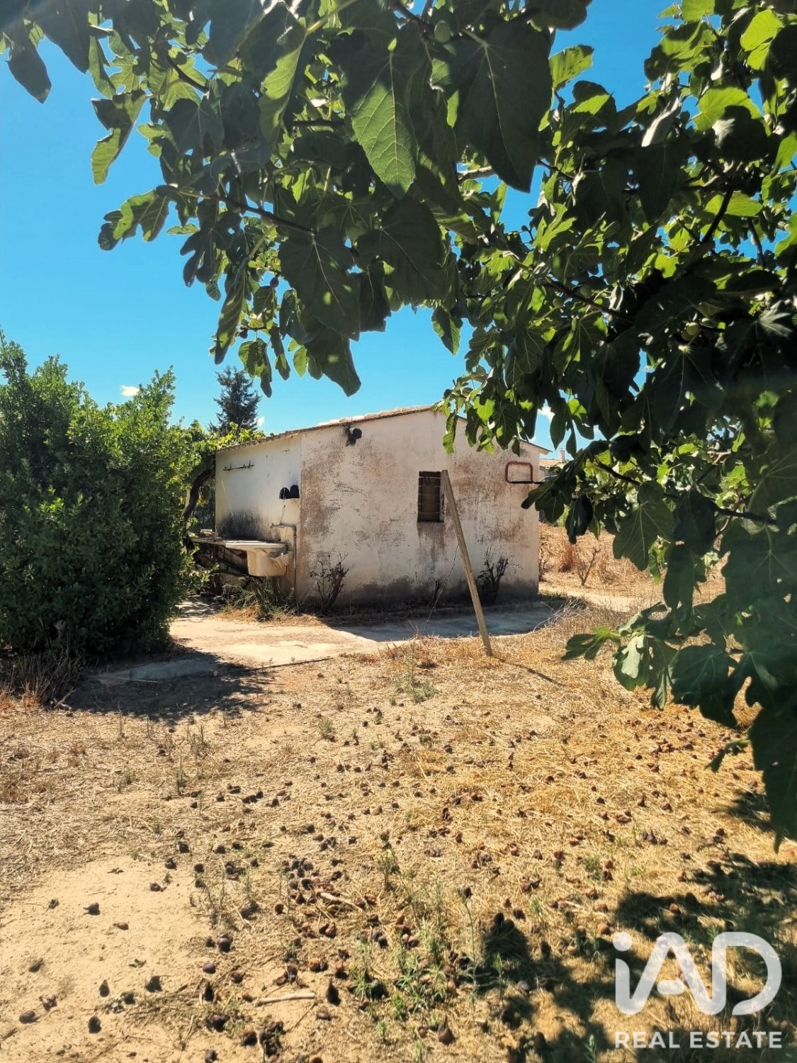 Tontti Ginestar, Tarragona, Espanja 940 m2 No. 195041