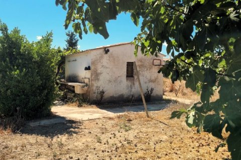 Tontti myytävänä Ginestar, Tarragona, Espanja , 940 m2 No. 195041 - kuva 20