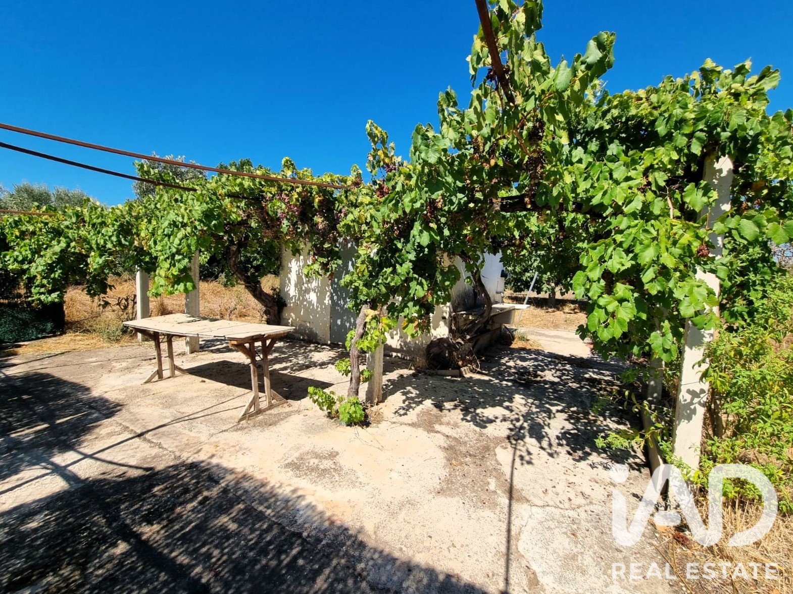 Tontti Ginestar, Tarragona, Espanja 940 m2 No. 195041