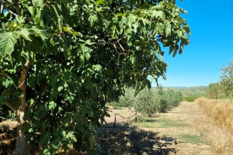 Tontti myytävänä Ginestar, Tarragona, Espanja , 940 m2 No. 195041 - kuva 21