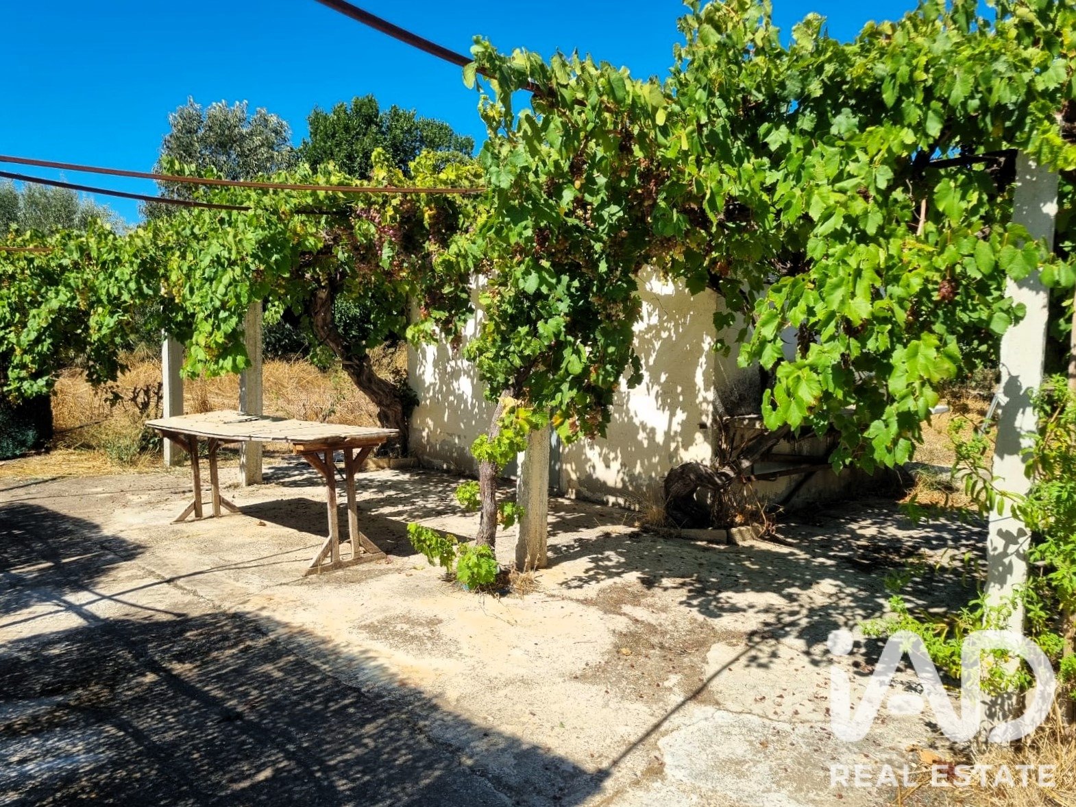 Tontti Ginestar, Tarragona, Espanja 940 m2 No. 195041