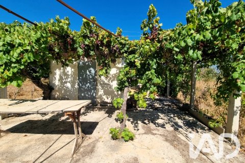 Tontti Ginestar, Tarragona, Espanja 940 m2 No. 195041