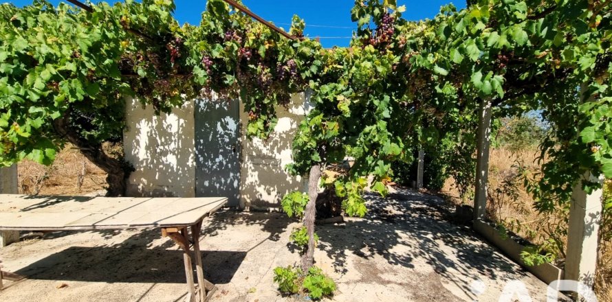 Tontti Ginestar, Tarragona, Espanja 940 m2 No. 195041
