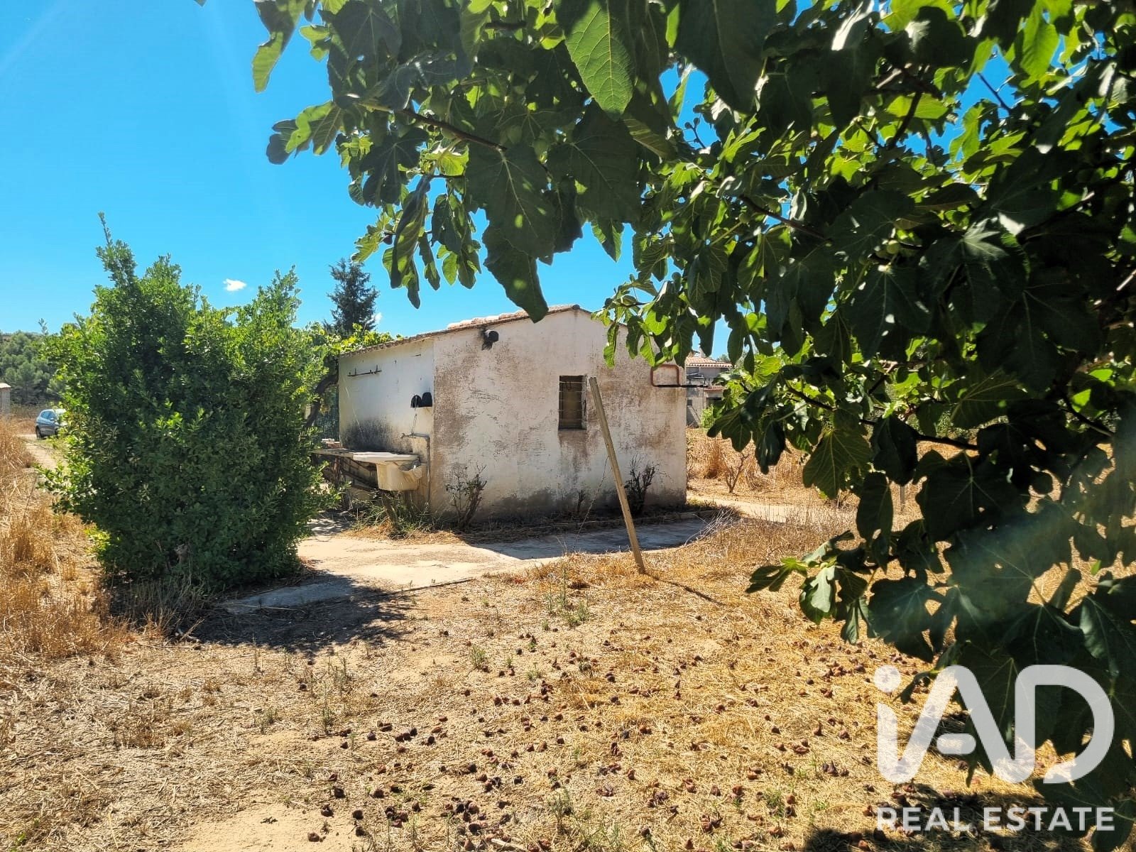Tontti Ginestar, Tarragona, Espanja 940 m2 No. 195041