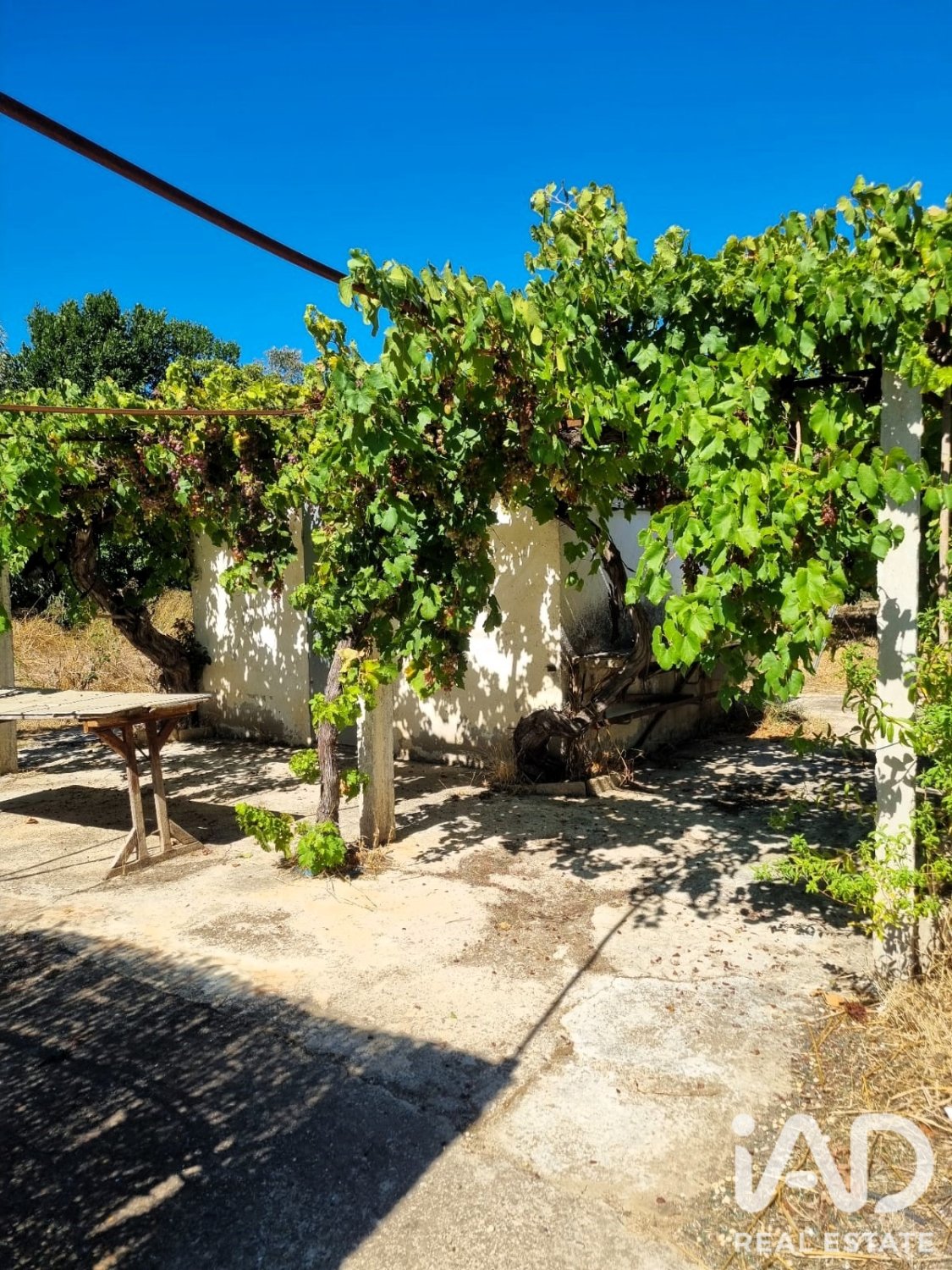 Tontti Ginestar, Tarragona, Espanja 940 m2 No. 195041