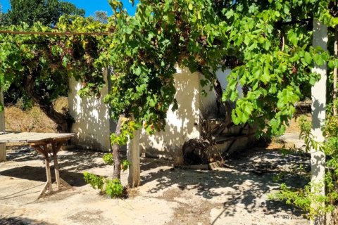 Tontti myytävänä Ginestar, Tarragona, Espanja , 940 m2 No. 195041 - kuva 15