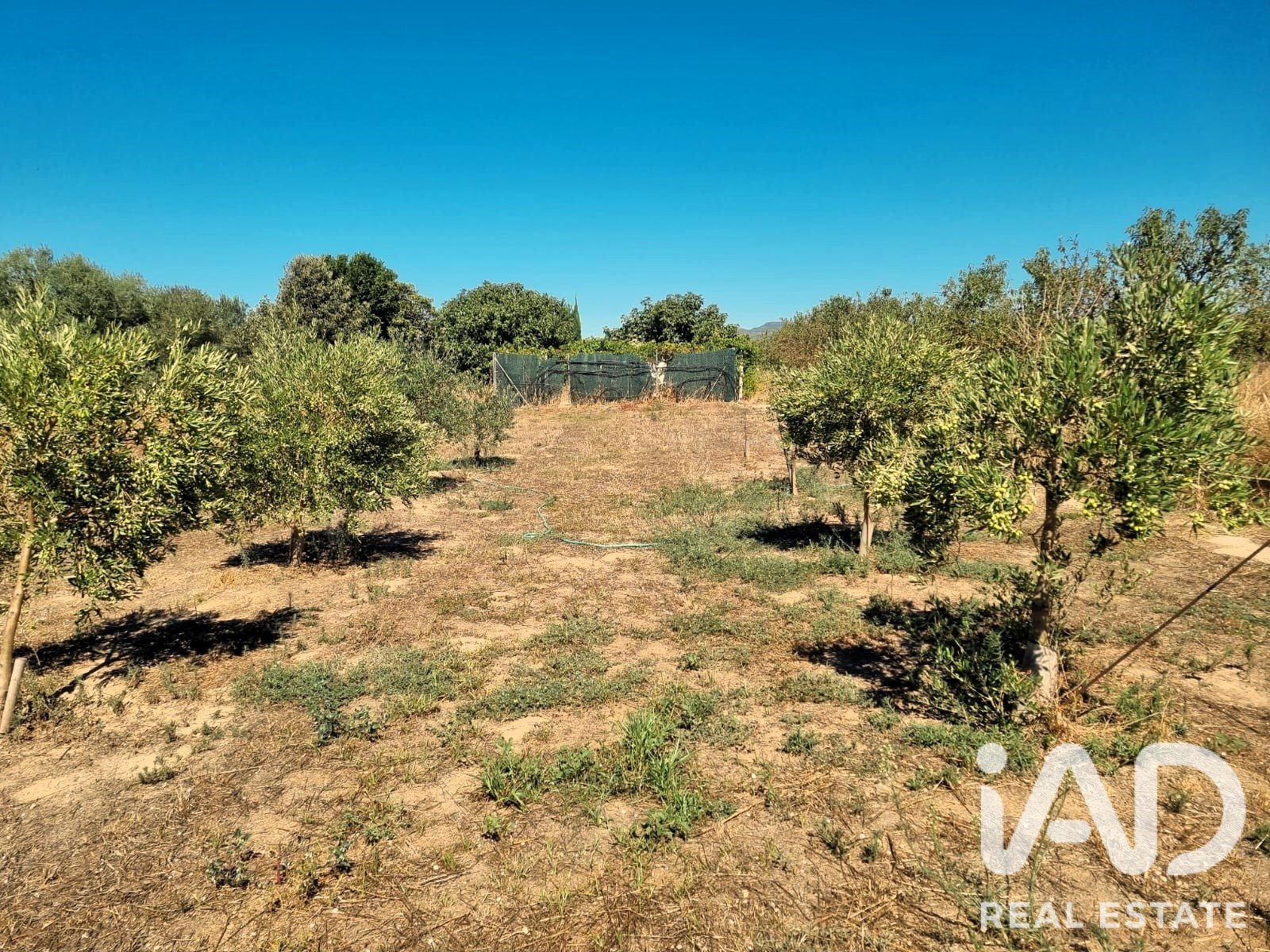 Tontti Ginestar, Tarragona, Espanja 940 m2 No. 195041